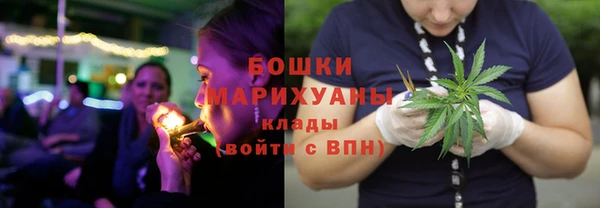 ГАЛЛЮЦИНОГЕННЫЕ ГРИБЫ Беломорск