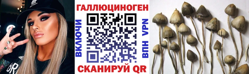 Галлюциногенные грибы мухоморы Купить Фролово