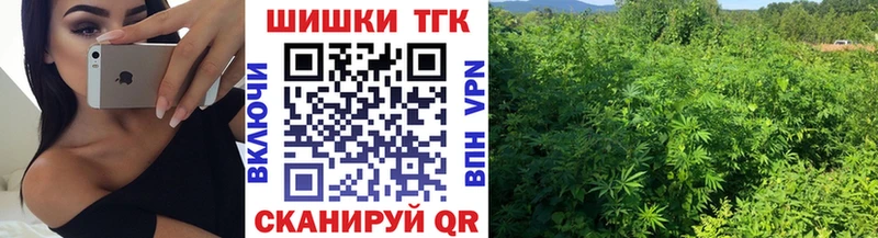 Купить закладки  Фролово  Бошки Шишки Amnesia 